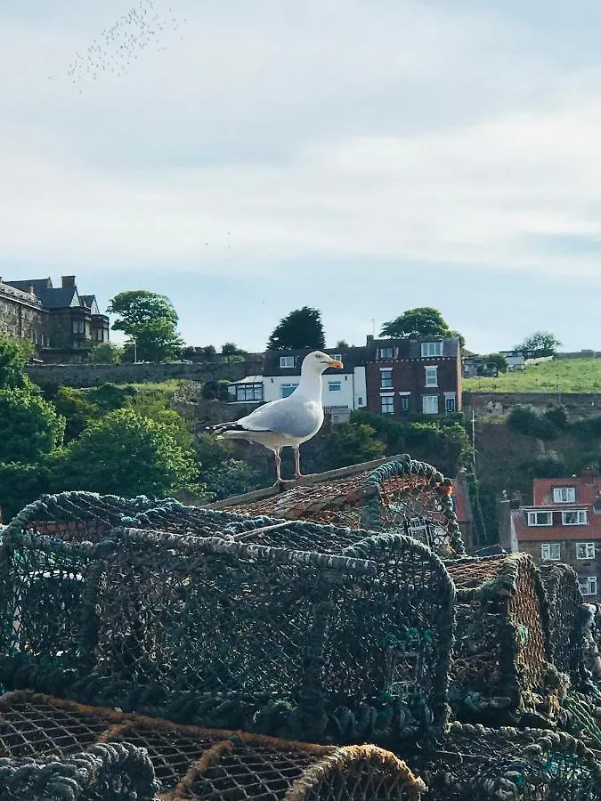 Mooredge B&B Whitby Bed & Breakfast